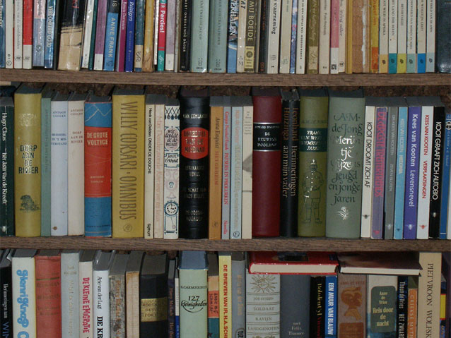 Książki na bibliotecznej półce, fot.: www.sxc.hu