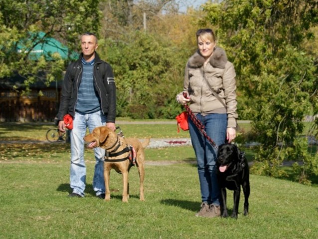 Sebastian Grzywacz i Dorota Ziental na spacerze z psami przewodnikami