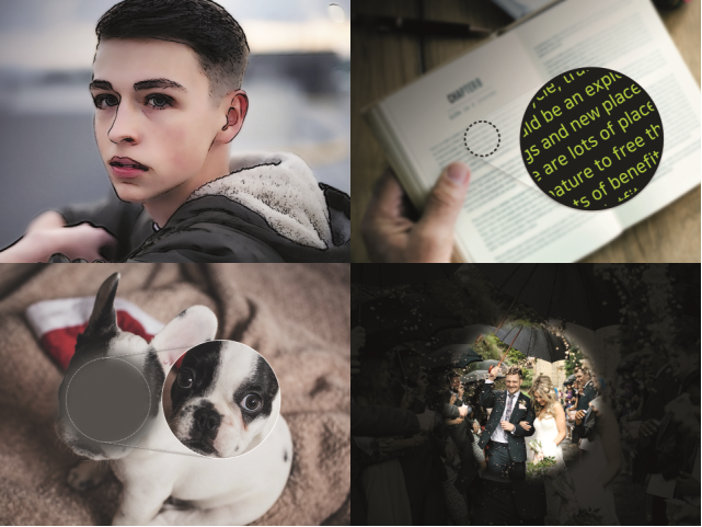 4 fragmenty zdjęć: chłopiec, pies, otwarta książka, para młoda