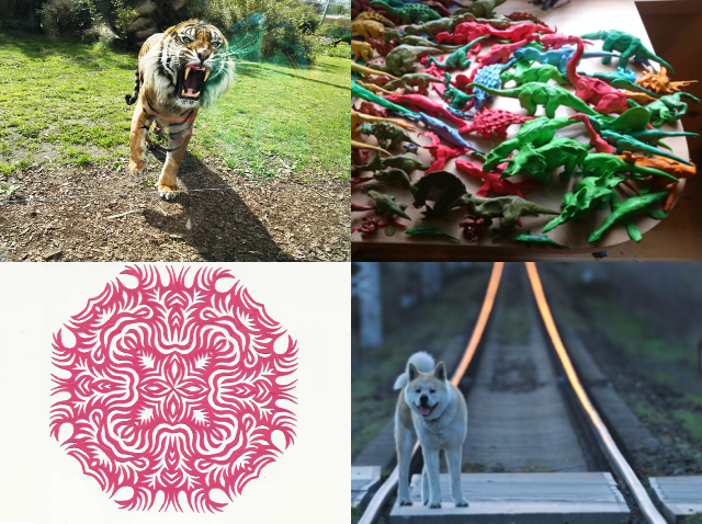 cztery zdjęcia: skaczący do szyby tygrys, dinozaury z plasteliny, wycinanka różowa, pies na torach