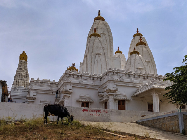 Świątynia hinduska, przed którą pasie się krowa
