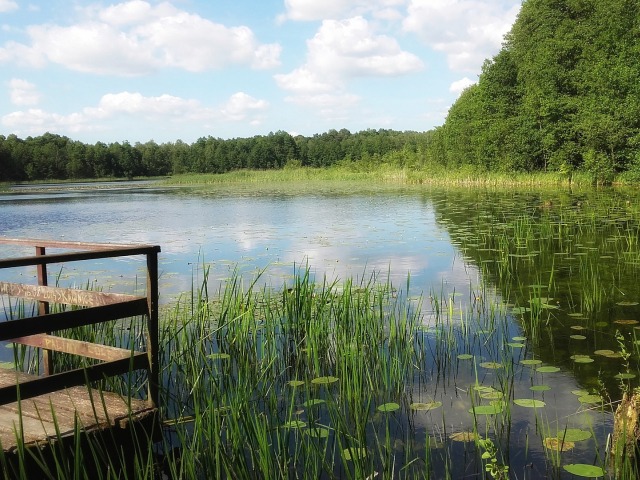 jezioro, z lewej widać kawałek drewnianego pomostu z barierką, naokoło las