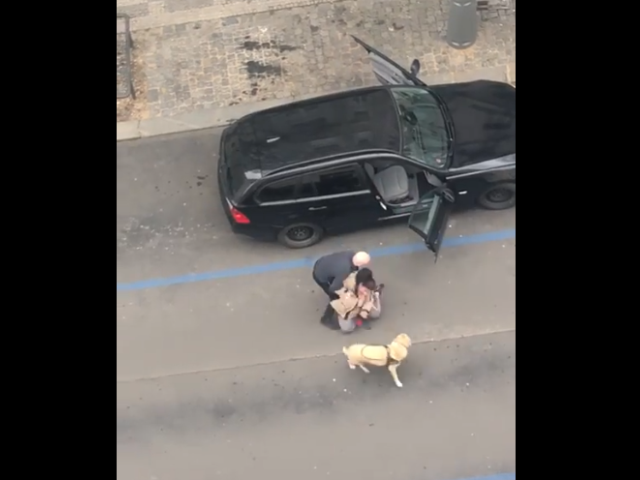 mężczyzna wyrzuca z auta kobietę na środku ulicy. obok jest pies przewodnik