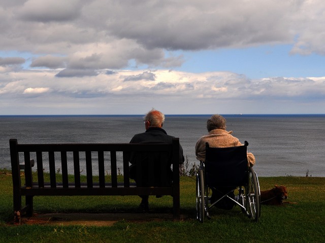 kobieta na wózku obok pies na trawie i na ławce mężczyzna siedzą tyłem do obiektywu patrząc na wodę