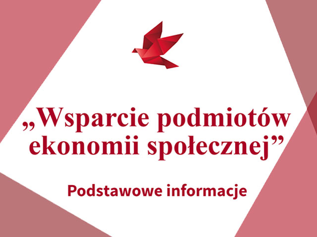 Napis Wsparcie podmiotów ekonomii społecznej, Podstawowe informacje