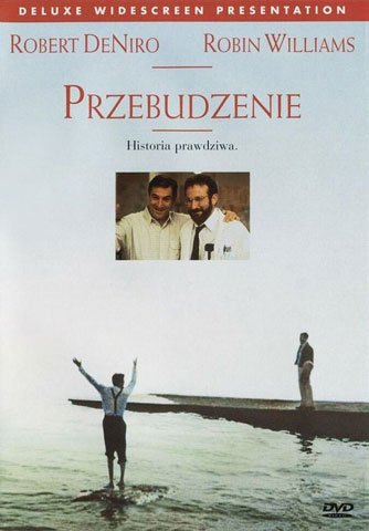 Plakat filmu pt. Przebudzenie. Po lewej stronie w wodzie po kostki stoi mężczyzna. Unosi wysoko ręce. Po prawek stronie na kamieniach stoi inny mężczyzna, patrzy przed siebie